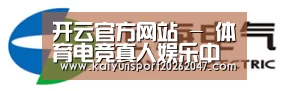 上汽电器