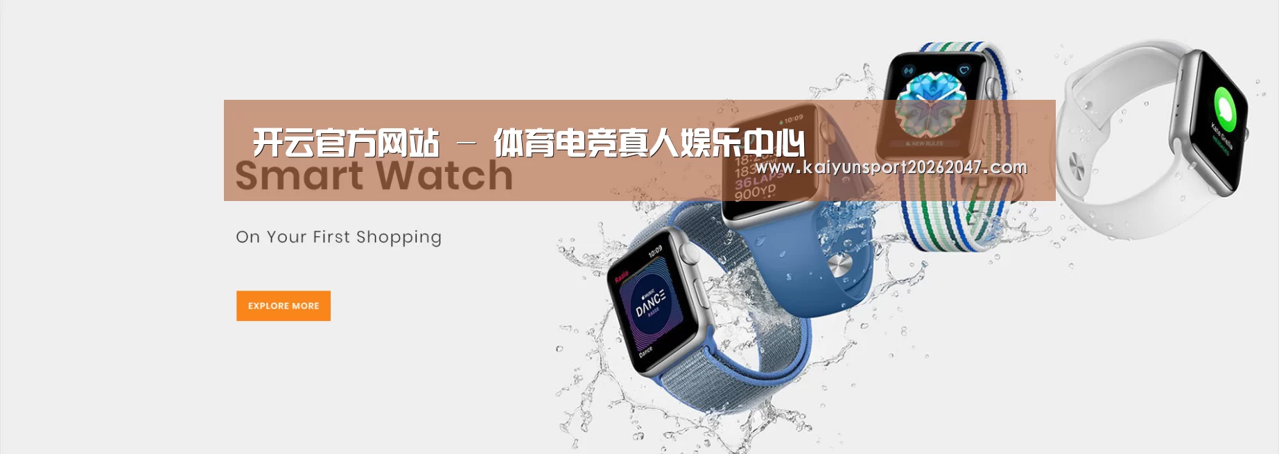 某某网络科技有限公司