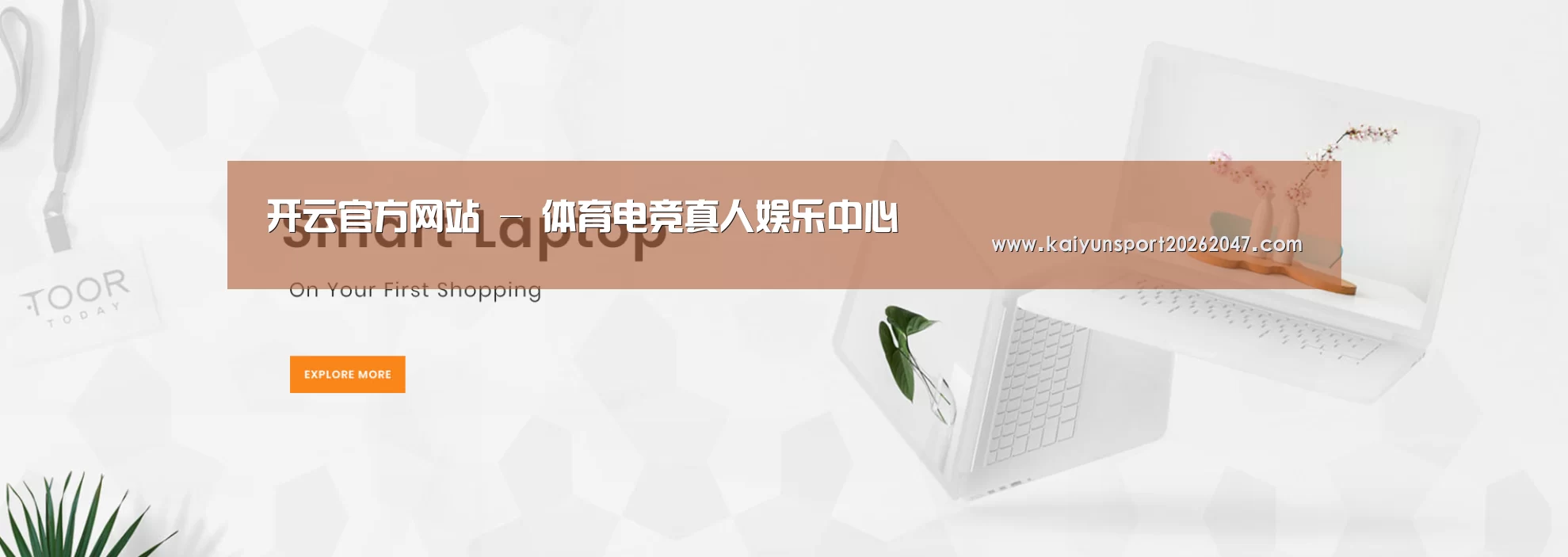 某某网络科技有限公司