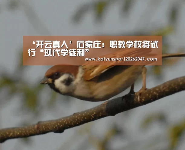 开云娱乐