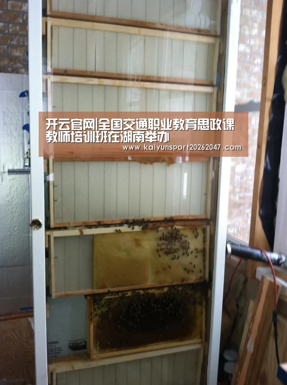 开云官网|全国交通职业教育思政课教师培训班在湖南举办(图1) 开云电竞