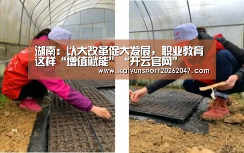 湖南:以大改革促大发展,职业教育这样“增值赋能”“开云官网”(图2) 开云娱乐