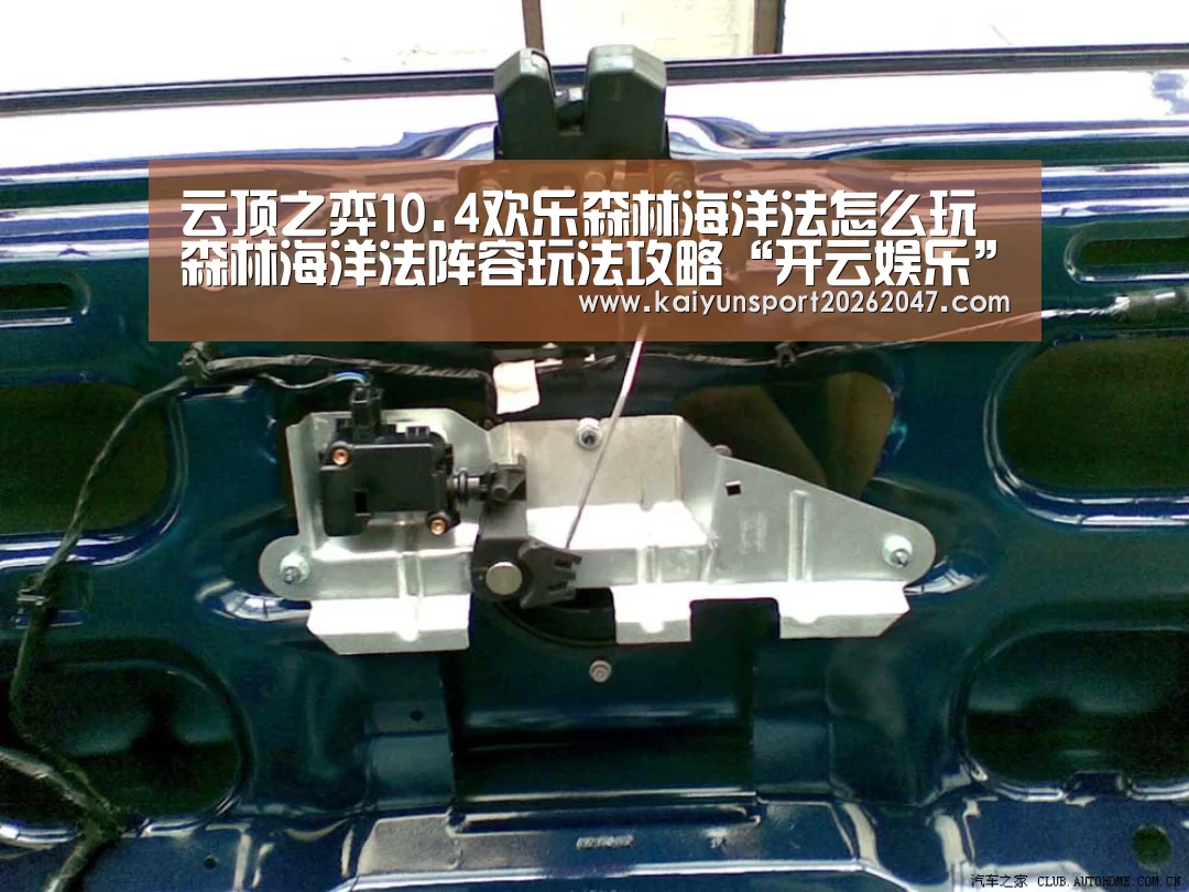 开云电竞
